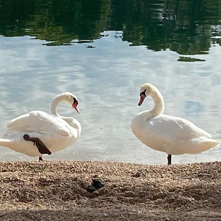 Apartman Put Svete Kate Raslina Dış mekan fotoğraf